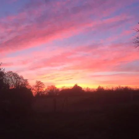 La Maison De Lavande Queaux