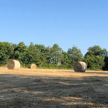 La Maison De Lavande Bed & Breakfast 3*