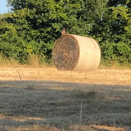 La Maison De Lavande Bed & Breakfast Queaux