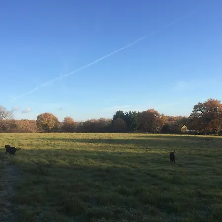 La Maison De Lavande Bed & Breakfast Queaux