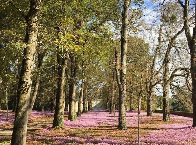 La Maison De Lavande Queaux