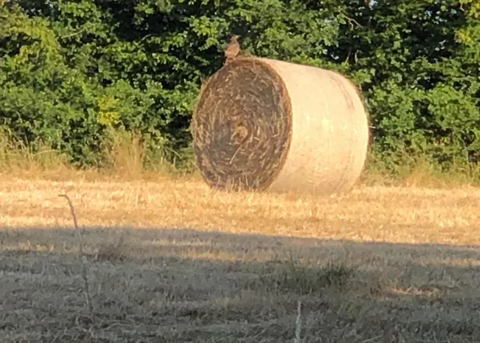La Maison De Lavande Отель типа 